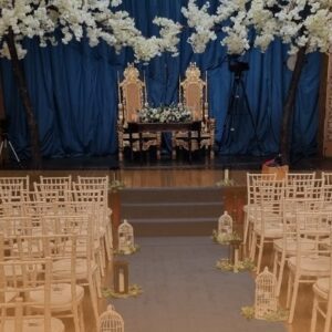 Exclusive Weekend Wedding South Wales SA9 1GL - WED VIP @£15,000